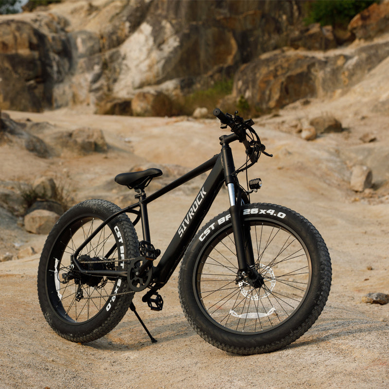 Professional Electric Bike For Adults, Fat Tire Electric Mountain Bicycle, Ebike For Trail Riding, Commute.